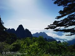 -黄山风景区