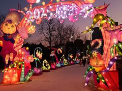 -沈阳奥体冰雪嘉年华