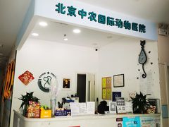 -中农国际动物医院24小时·猫科·骨科·急重症中心