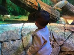 -沈阳海洋探索中心