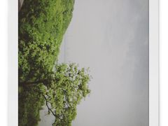 -东湖磨山景区