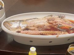 -青岛海悦御华大酒店