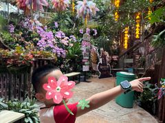 -正佳雨林生态植物园