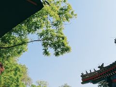 -北京古代建筑博物馆