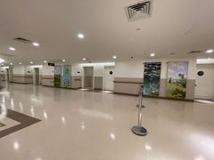 -上海市东方医院(总院)