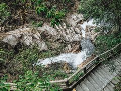 -九龙江国家森林公园