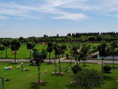 -明珠湖天鹅苑·农家菜馆