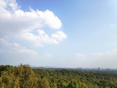 -紫金山山顶公园