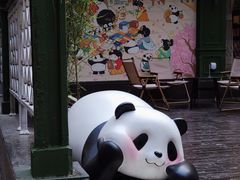 -轩客会(熊猫书店)