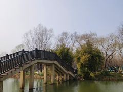 -洋湖国家湿地公园