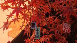 点击看大图 -花嫁丽舍海岛婚礼殿堂(国展店)