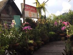 -自然餐厅(Phuket)