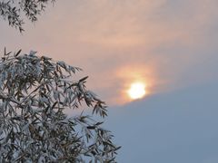 -银树楼(紫玉山庄东区店)