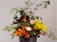 -深圳国际园林花卉博览园