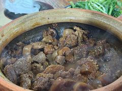 -霞姐屯昌枫木香草鸭店(海螺店)