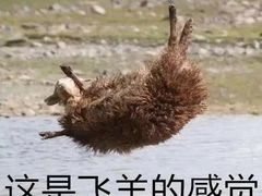 -艾薯夫妇Aysh(福田星河COCOPark店)