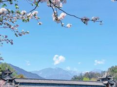 -都江堰景区