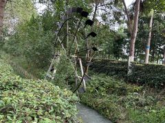 -合肥滨湖国家森林公园