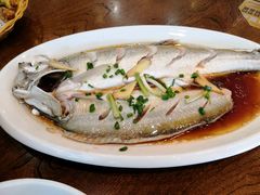 -老马家·舌尖上的西塘美食