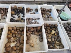 -华声天桥民俗文化园