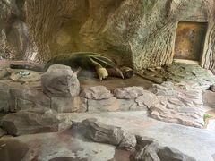 -深圳野生动物园