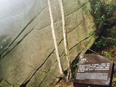 iphone_upload_pic-大明山自然探索公园