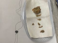 -德元·美联众合24小时动物医院(总院)