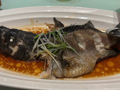 -扬州狮子楼·非遗淮扬菜(总店)