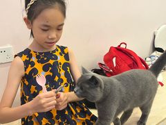-猫咪派对(江南西店)