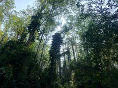 -水濂山森林公园