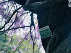 -郑和公园