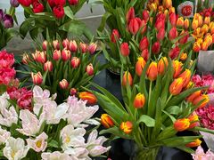 -三圣花乡旅游区