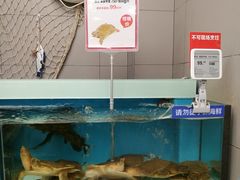 -盒马鲜生(大成店)