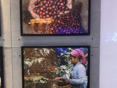 -同步齿科·数字化正畸种植口腔中心(珠海店)