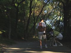 -燕晗山郊野公园