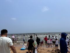 -日照海滨国家森林公园