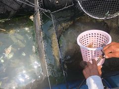 -海上驿站渔家菜馆