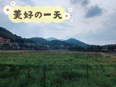 -红山村