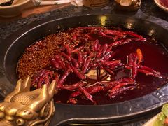 -蜀大侠火锅(建设路第五大道店)