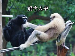 -上海野生动物园