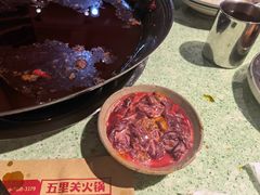 -五里关火锅(牛市口店)