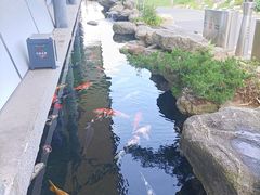 -贵阳高新惠诚食品有限公司