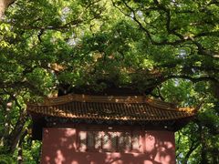 -普陀山风景名胜区-法雨禅寺