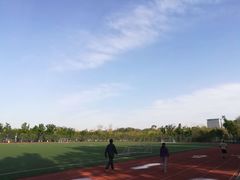 -五环公园
