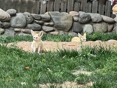 -北京野生动物园