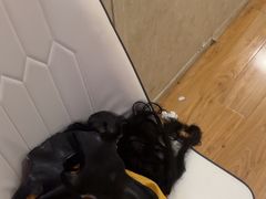 -剧狐剧本杀·月球探案馆(人民广场1号店)