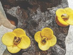 -鱼桥巷·美学川菜