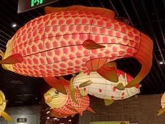 -肥福排档(星光店)