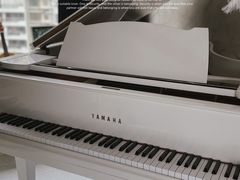 -乐尚音乐空间·钢琴·声乐·架子鼓(会展中心店)