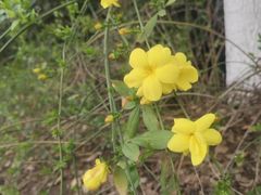 -万达广场(南京建邺店)